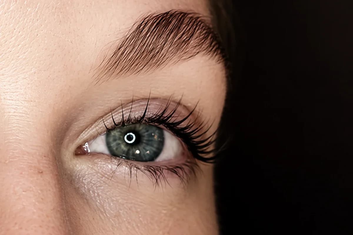 Natural lashes curled up from the root and darkened, on an open grey-green eye under a brushed-up brow