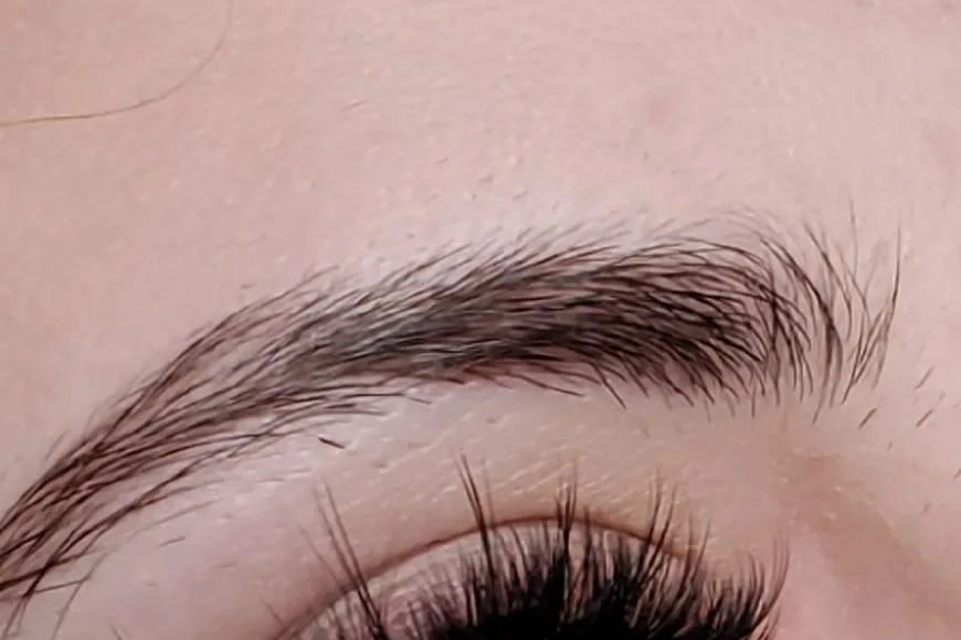 A full, dark, brushed brow above a client's lash extensions, close up