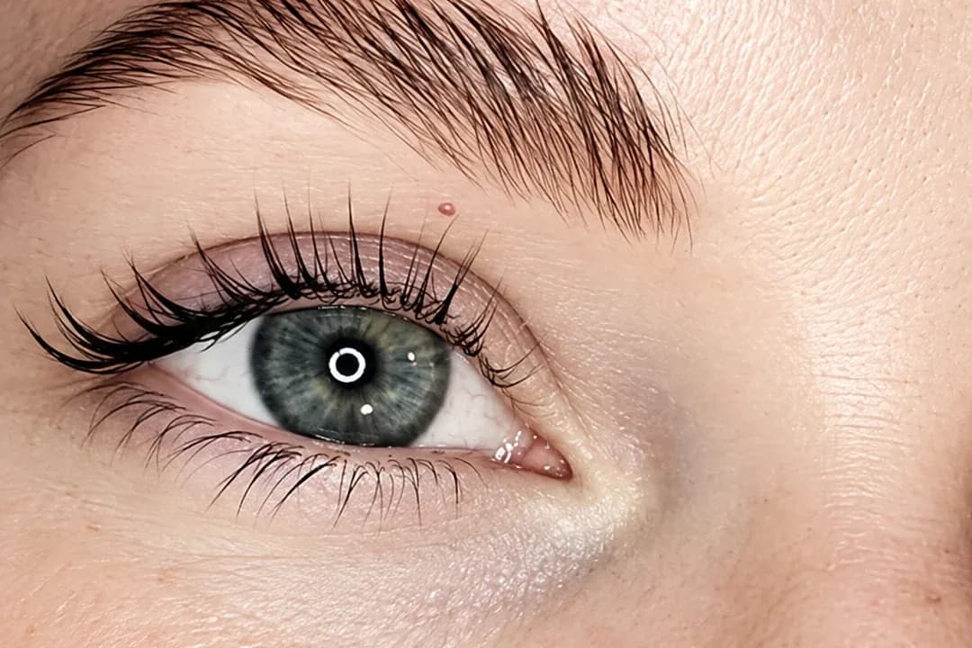 A client's own lashes, curled up from the root and darkened, on an open green eye under a brushed-up brow